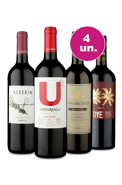 Kit 4 Por R$149 - Seleção de Tintos