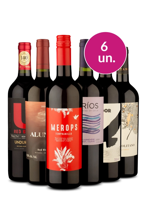 Kit 6 - Evoluindo o paladar: Suave, Meio Seco, Seco - Exclusivo We