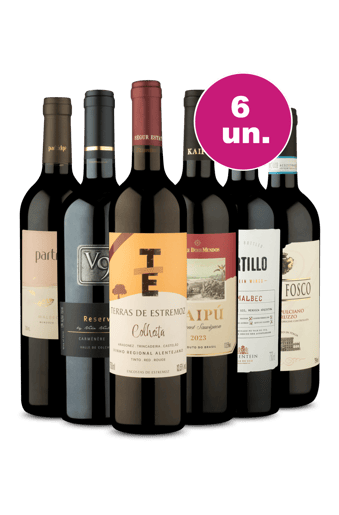 Kit 6 - Tintos por R$249