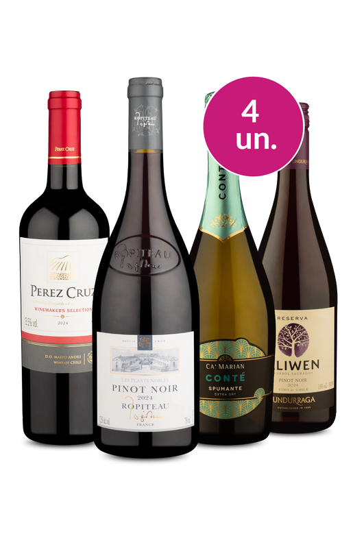 Kit 4 - Degustação Imperdível - R$55 por Garrafa