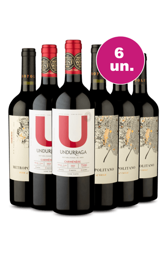 Kit 6 por R$199 - Tintos para Comemorar