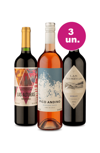 Kit 3 - Joias Chilenas por R$99 - Oferta Insana IZ