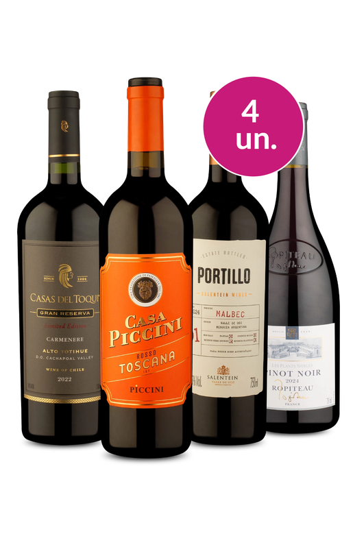 Kit 4 - Queridinhos por R$ 250 - Exclusivo We