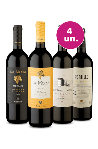 Kit 4 - Degustação Imperdível - Oferta Insana