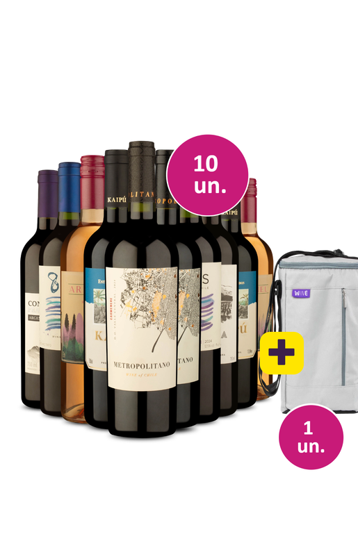 Kit 10 - Vinhos por 32,90 a garrafa + Bolsa para 3 garrafas Grátis - Exclusivo We