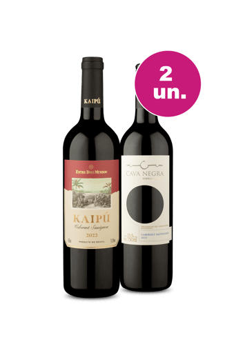Kit 2 - Tintos da América do Sul - Oferta Insana