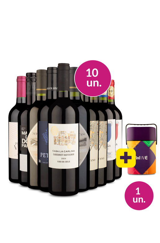 Kit 10 - Tintos Secos + Cooler Retrô Grátis - Exclusivo We