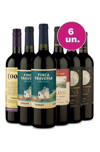 Kit 6 - Tintos da América do Sul por R$199