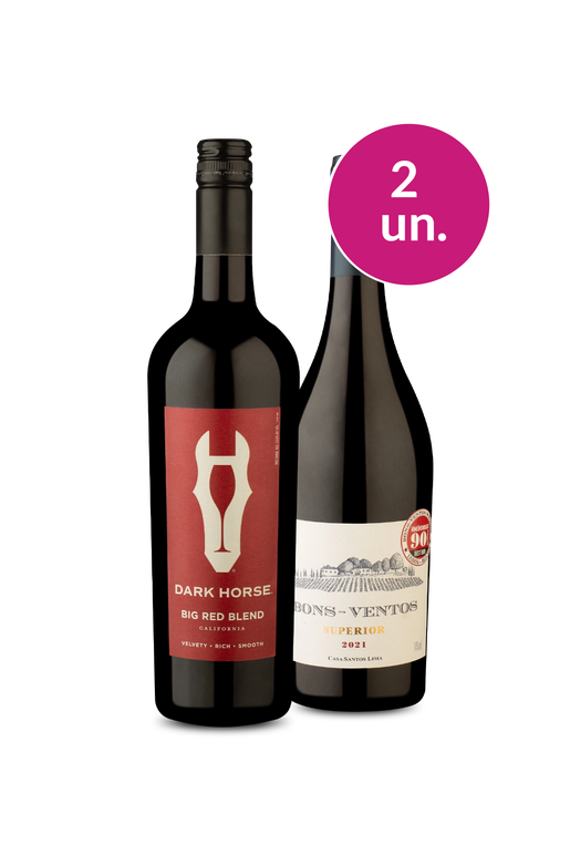 Kit 2 - Sabores Surpreendentes - Oferta Absurda