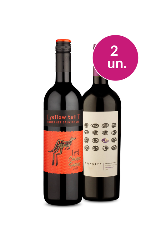 Kit 2 - Chile em Tintos - Oferta Absurda