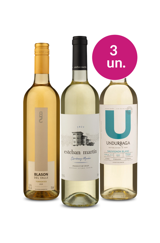 Kit 3 - Brancos por R$ 99 - Exclusivo We