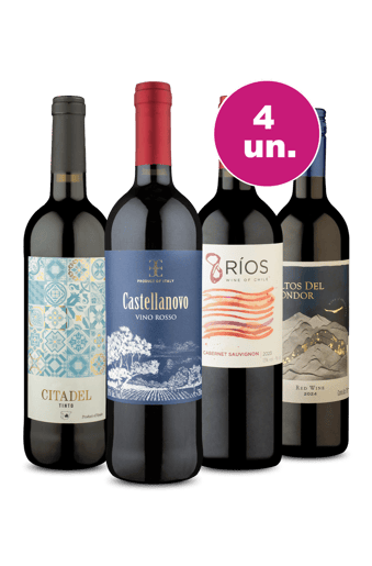 Kit 4 - Tintos Espetaculares por R$99