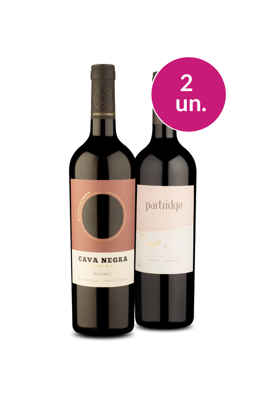Kit 2 - Malbec Argentino - Oferta Absurda