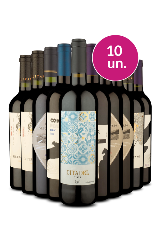 Kit 10 - Tintos no Precinho - Exclusivo We