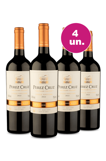 Kit 4 - Pérez Cruz Single Vineyard La Higuera Block D.O. Maipo Andes - Exclusivo We