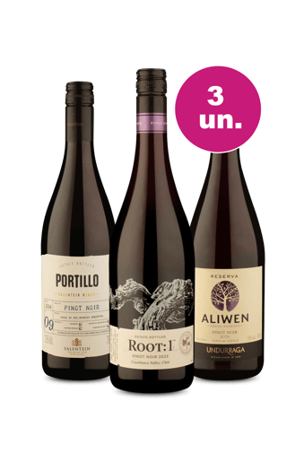 Kit 3 - Pinot Sul Americanos - Exclusivo We