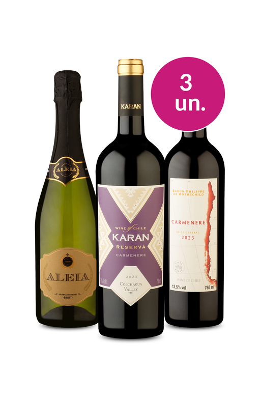 Kit 3 - Marchinha Mesclada por R$99