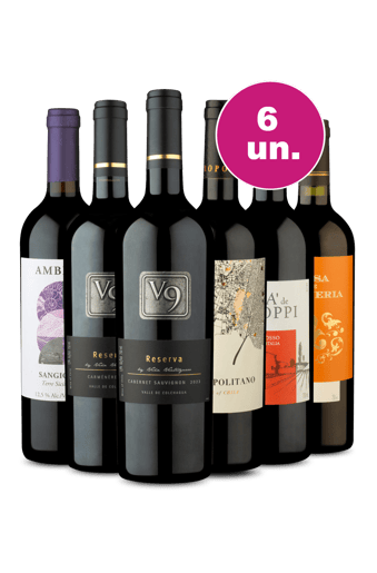 Kit 6 - Tintos Incríveis - Oferta Insana