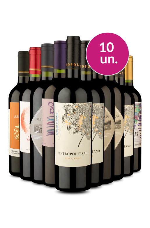 Kit 10 - Vinhos Tintos por R$ 25 por garrafa - Exclusivo We