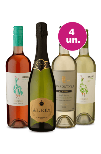 Kit 4 - Deu Saudade do Verão!