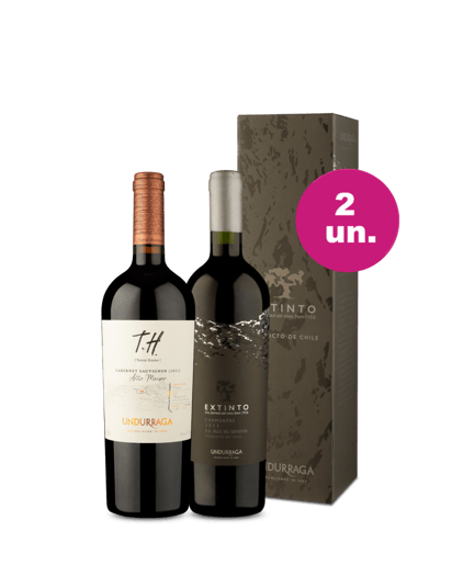 Kit 2 - Encontro Singular