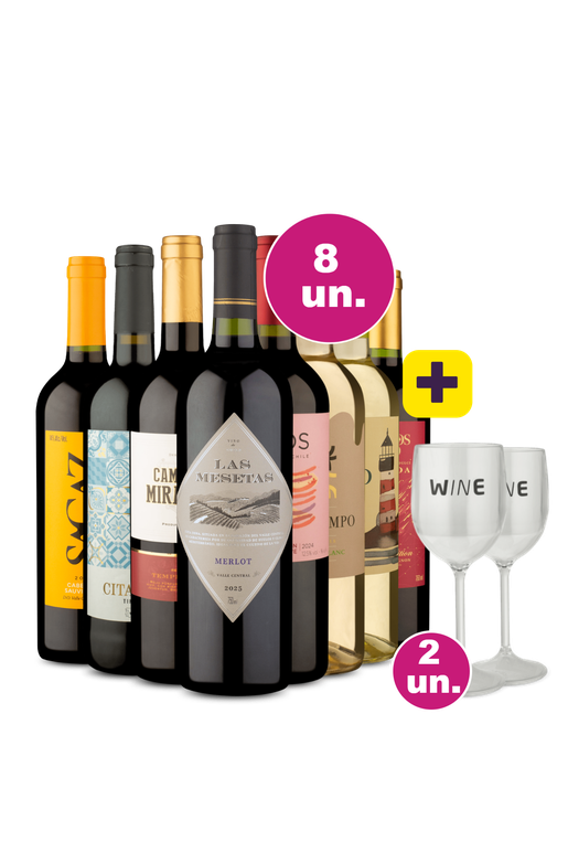 Kit 8 - R$24,90 por Garrafa + Par de Taças de Acrílico Grátis