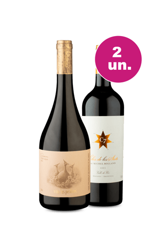 Kit 2 - Encontro de Campeões: Las Perdices Pinot Noir e Clos De Los Siete