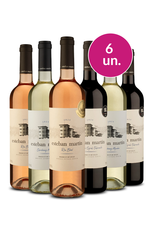 Kit 6 - Degustação Esteban Martín por R$ 33 a garrafa - Exclusivo We