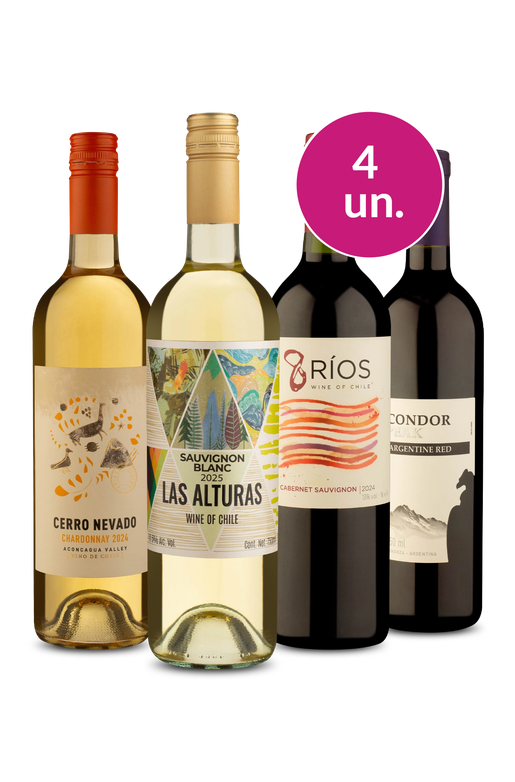 Kit 4 - Variados por R$ 99 - Exclusivo We