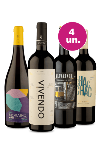 Kit 4 - Degustação Soberba por R$249