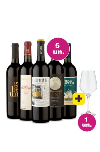 Kit 5 - Degustação Tintos Mundiais + Taça Grátis