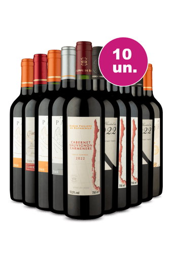 Kit 10 - Experiência Wine