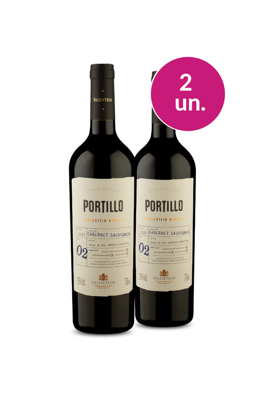Wine Pendura - Portillo por R$50,93/un