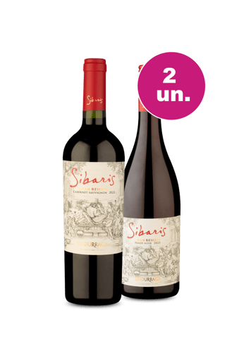 Kit 2 - Gran Reserva Chileno por R$199