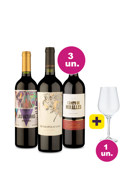 Kit 3 - Tintos por R$99 + Taça Grátis - Oferta Absurda Black Wine