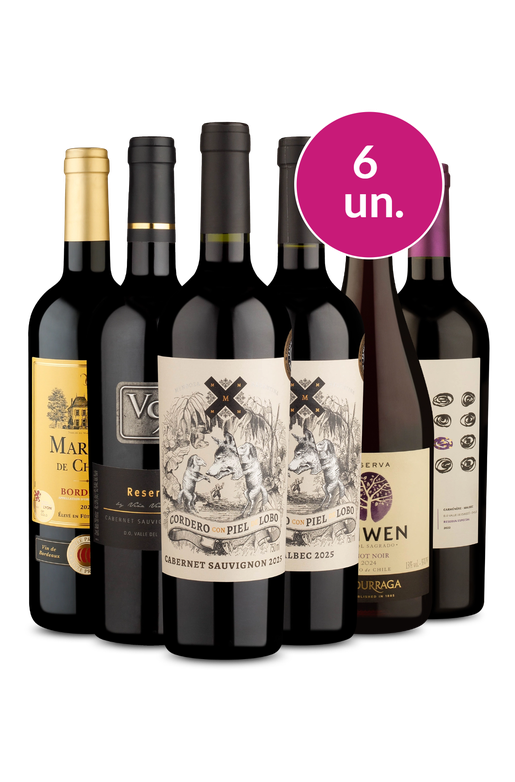 Kit 6 - Tintos para arrasar - Exclusivo We