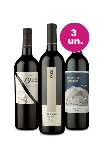 Kit 3 por 99 - Degustação de Argentinos