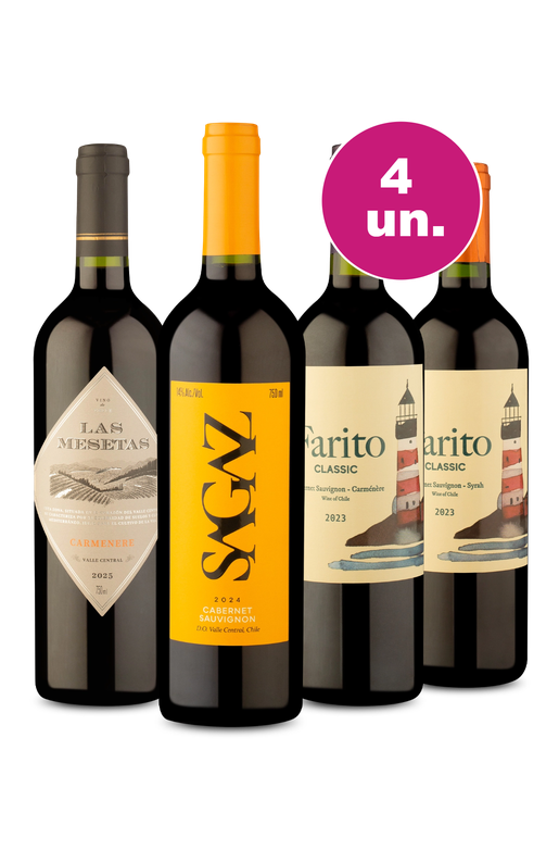 Kit 4 - Chilenos por R$24,90 por Garrafa