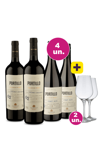 Kit 4 - Portillo Valle De Uco Tintos + 2 Taças Cristal Grátis