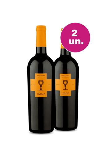 Kit 2 - Schola Sarmenti Roccamora Salento Negroamaro - Oferta Insana IZ