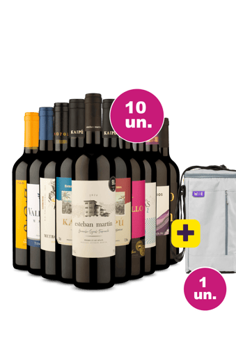 Kit 10 - Vinhos por 36,90 + Bolsa Térmica para 3 garrafas Grátis - Exclusivo We