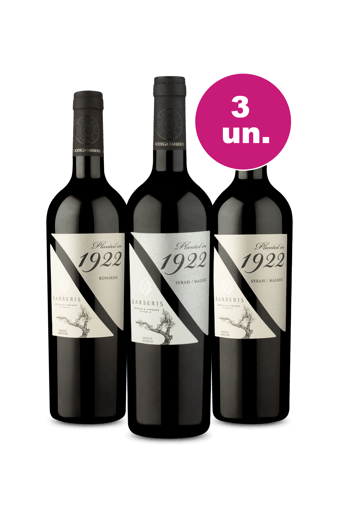 Kit 3 - Degustação Planted In 1922 Tintos