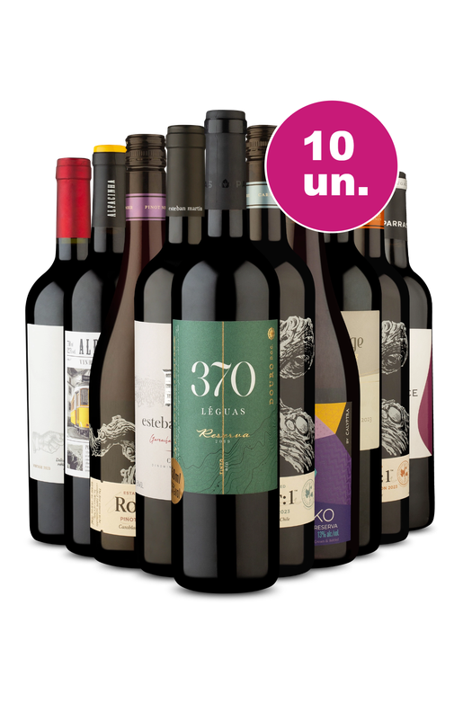 Kit 10 - Tintos Imperdíveis por R$49,90 por Garrafa - Oferta Absurda