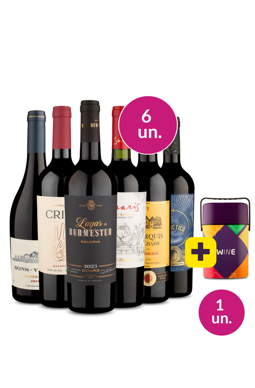 Kit 6 - Elegantes e Sofisticados + Cooler  Retrô Grátis - Exclusivo We