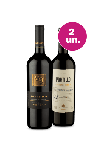Kit 2 - V9 Gran Reserva e Portiilo - Renomados Sulamericanos