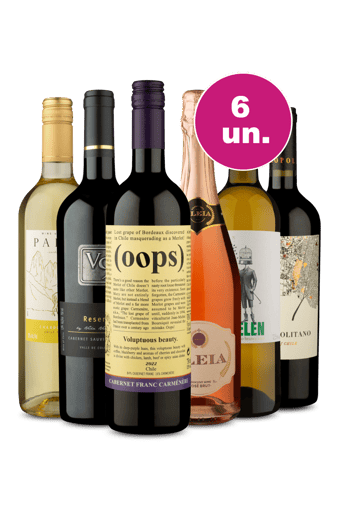 Kit 6 - Mundo de Sabores por R$199