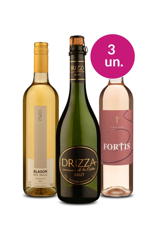 Kit 3 - Bloco dos Refrescantes por R$99