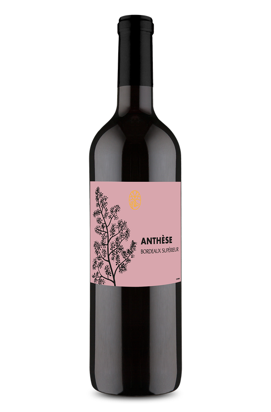 Winebox Surpreendentes – Rótulo 2