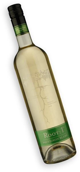 Root: 1 Sauvignon Blanc 2018