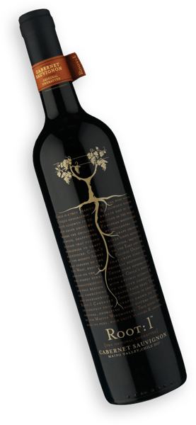 Root:1 Reserva Maipo Valley Cabernet Sauvignon 2017